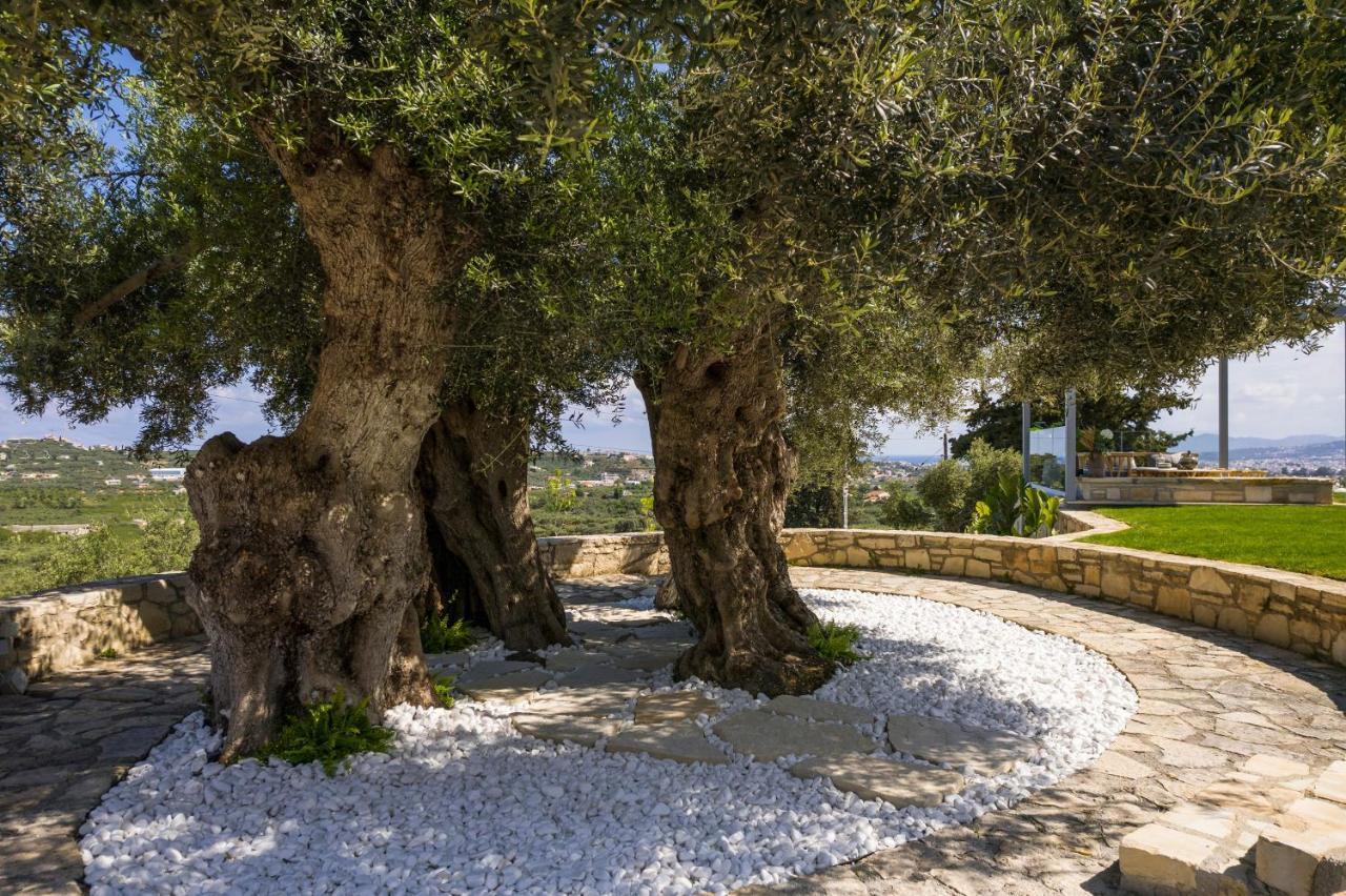 Olivenest Chania Executive Villa Περιβόλια Εξωτερικό φωτογραφία